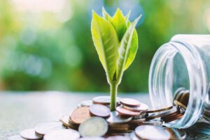Mufin Green Finance