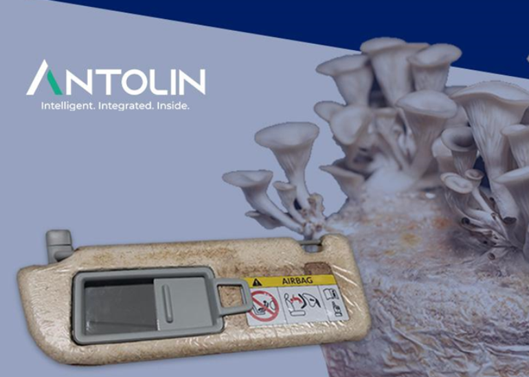 Antolin Innovates with Mycelium for Eco-Friendly Materials