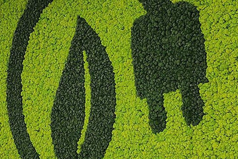Bureau of Indian Standards introduces two safety norms for EVs