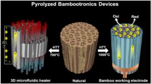 Bamboo-Based Components